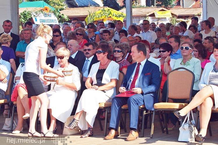 Dożynki Powiatu Mieleckiego 2015