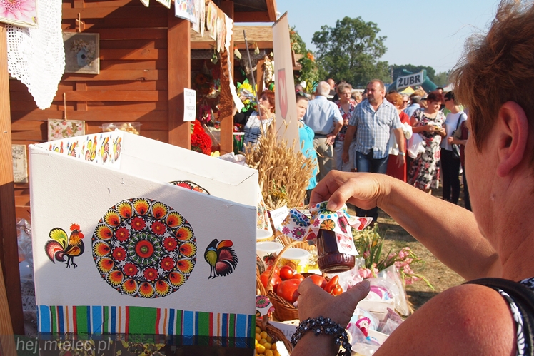 Dożynki Powiatu Mieleckiego 2015
