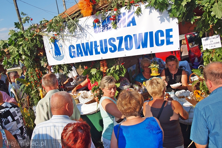 Dożynki Powiatu Mieleckiego 2015