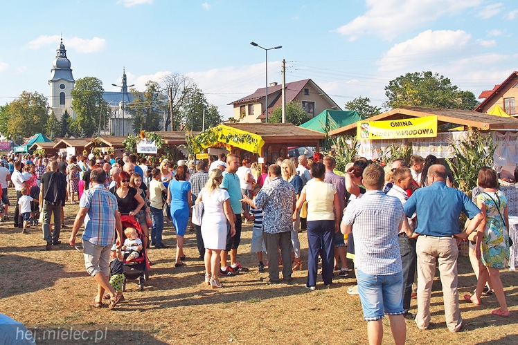 Dożynki Powiatu Mieleckiego 2015