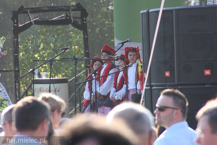 Dożynki Powiatu Mieleckiego 2015