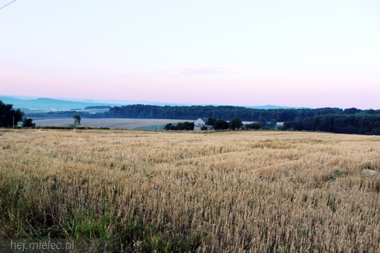 Dzień Dziecka na Pieszej Pielgrzymce Tarnowskiej