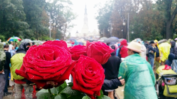 33. Piesza Pielgrzymka Tarnowska dotarła na Jasną Górę