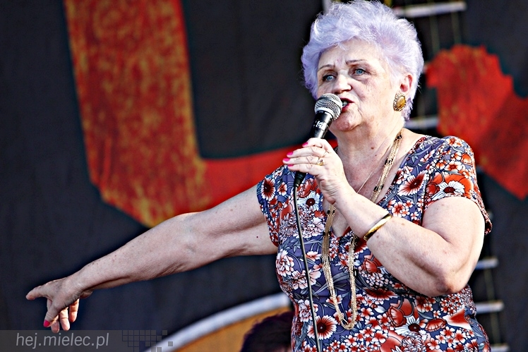 Dni Mielca 2015: koncerty Senior Show, Inity Sounds, Mielecka Orkiestra Dęta, Big Band SCK