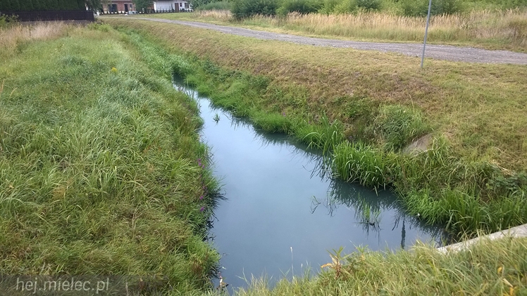 Bobry pokazały jak mielczanie śmiecą i trują