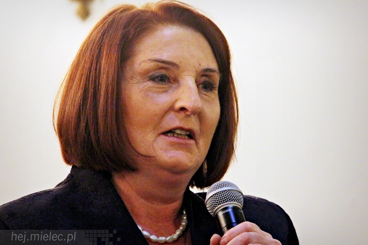 Spotkanie wyborcze PiS ? przed wyborami parlamentarnymi 28 października 2015