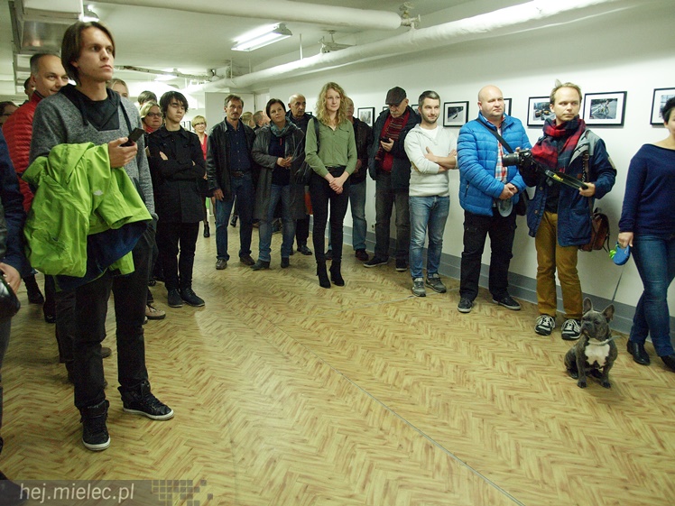 Wernisaż wystawy Aleksandra Gładysza ON DEMAND