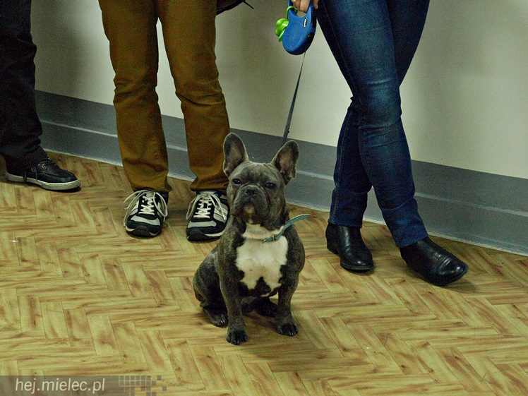 Wernisaż wystawy Aleksandra Gładysza ON DEMAND