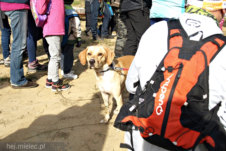 III Mielecki Zielony Punkt Kontrolny