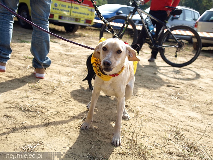 III Mielecki Zielony Punkt Kontrolny