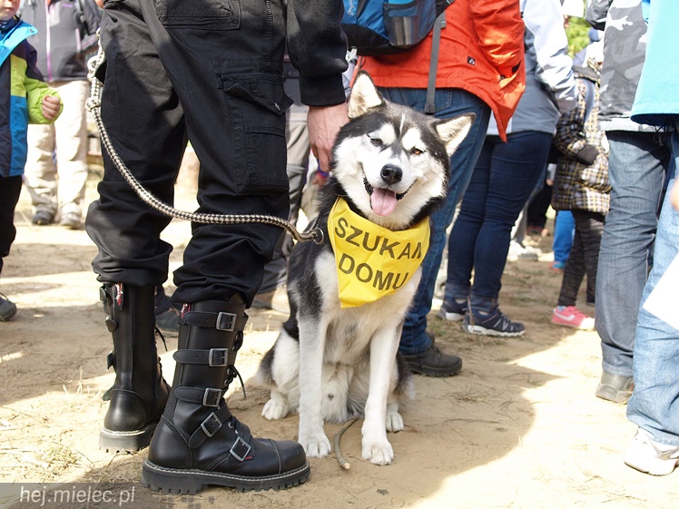 III Mielecki Zielony Punkt Kontrolny