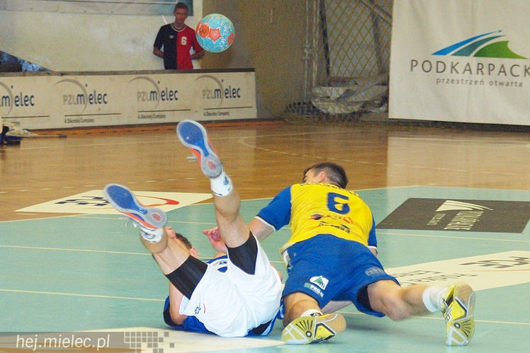 Ofensywy walenie w mur. PGE Stali znów zabrakło argumentów by wygrać [FOTO]