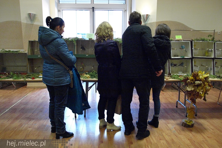 Wystawa ptaków egzotycznych
