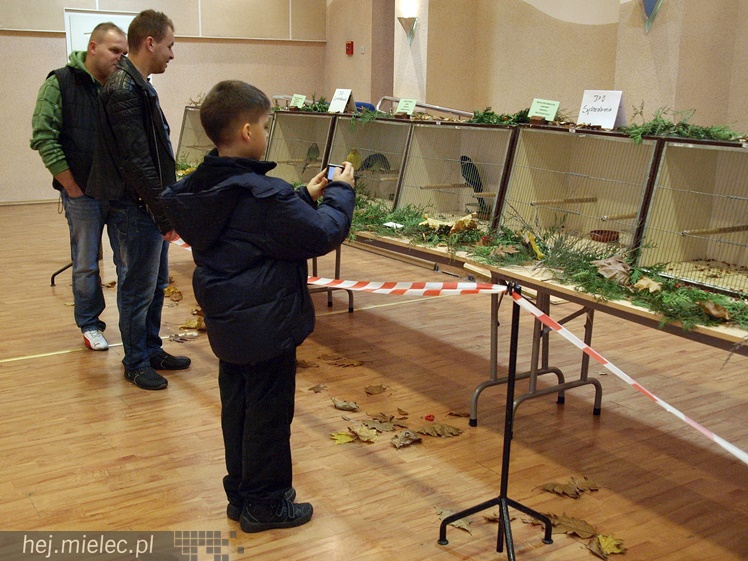 Wystawa ptaków egzotycznych