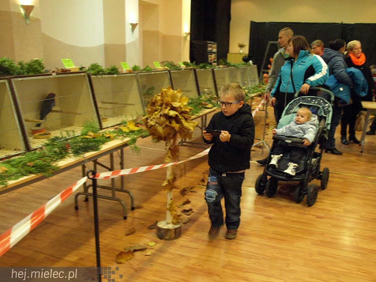 Wystawa ptaków egzotycznych
