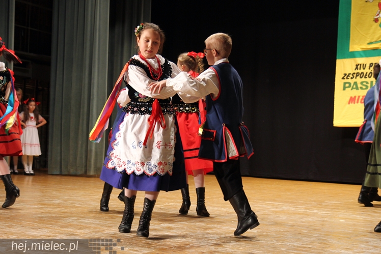 XIV Przegląd Zespołów Tanecznych PASIKONIK 2015. Dzień 1