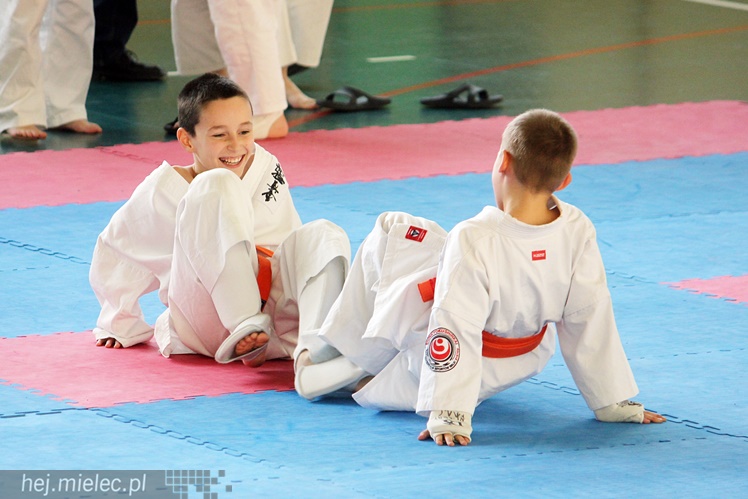 Finał Podkarpackiej Ligi Dzieci i Młodzieży Karate Shinkyokushin