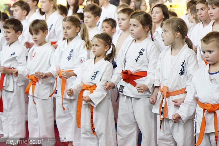 Finał Podkarpackiej Ligi Dzieci i Młodzieży Karate Shinkyokushin