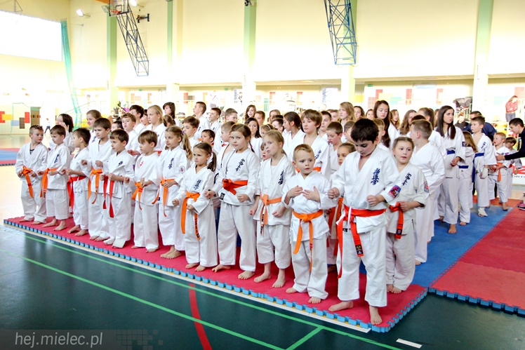 Finał Podkarpackiej Ligi Dzieci i Młodzieży Karate Shinkyokushin
