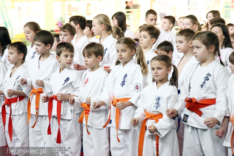 Finał Podkarpackiej Ligi Dzieci i Młodzieży Karate Shinkyokushin