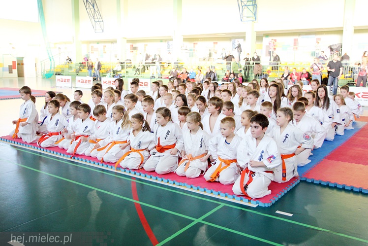 Finał Podkarpackiej Ligi Dzieci i Młodzieży Karate Shinkyokushin