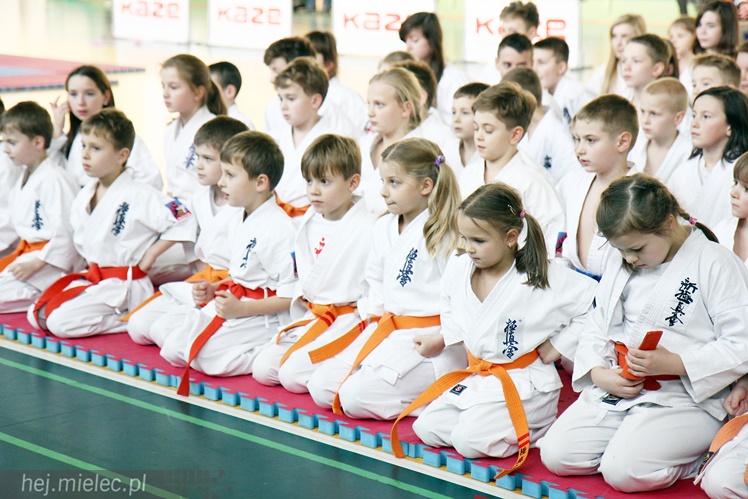 Finał Podkarpackiej Ligi Dzieci i Młodzieży Karate Shinkyokushin