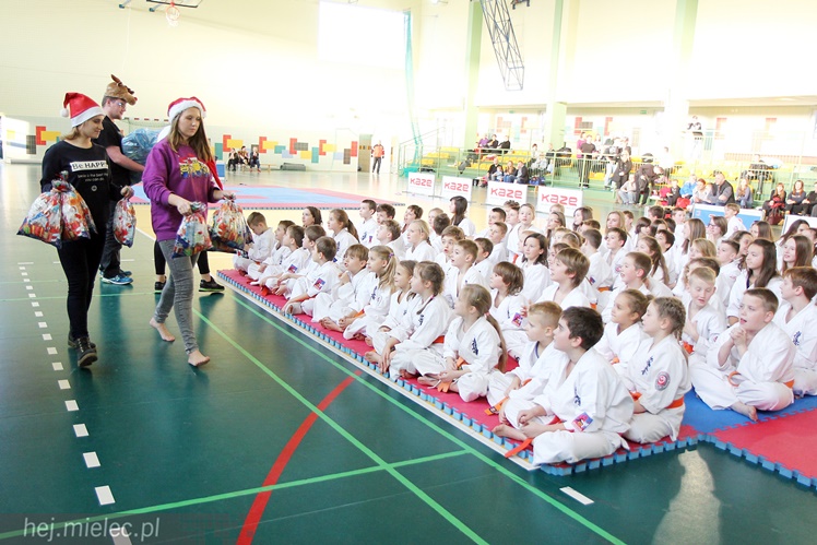 Finał Podkarpackiej Ligi Dzieci i Młodzieży Karate Shinkyokushin