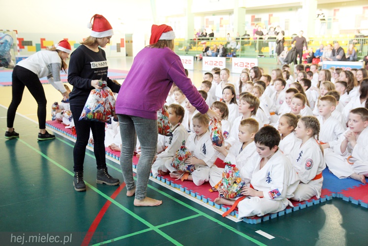 Finał Podkarpackiej Ligi Dzieci i Młodzieży Karate Shinkyokushin