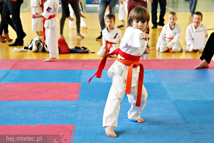 Finał Podkarpackiej Ligi Dzieci i Młodzieży Karate Shinkyokushin