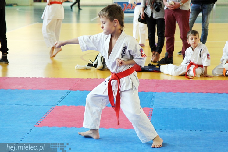 Finał Podkarpackiej Ligi Dzieci i Młodzieży Karate Shinkyokushin