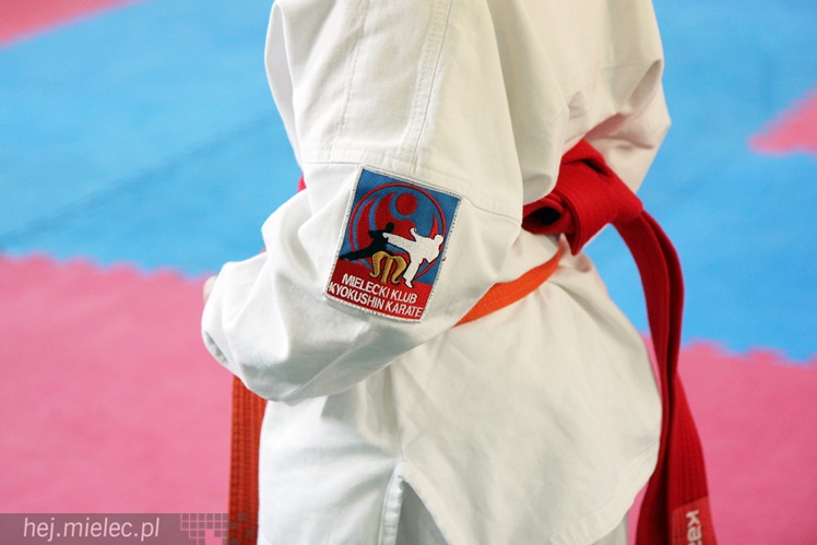 Finał Podkarpackiej Ligi Dzieci i Młodzieży Karate Shinkyokushin