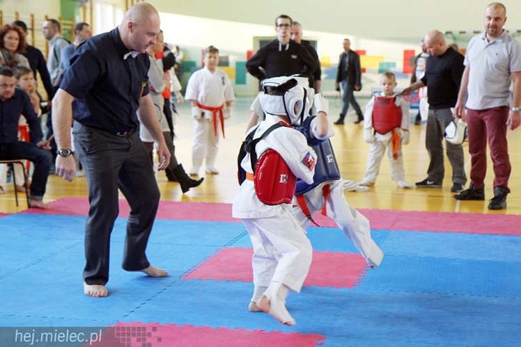 Finał Podkarpackiej Ligi Dzieci i Młodzieży Karate Shinkyokushin