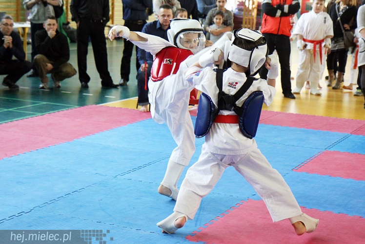 Finał Podkarpackiej Ligi Dzieci i Młodzieży Karate Shinkyokushin