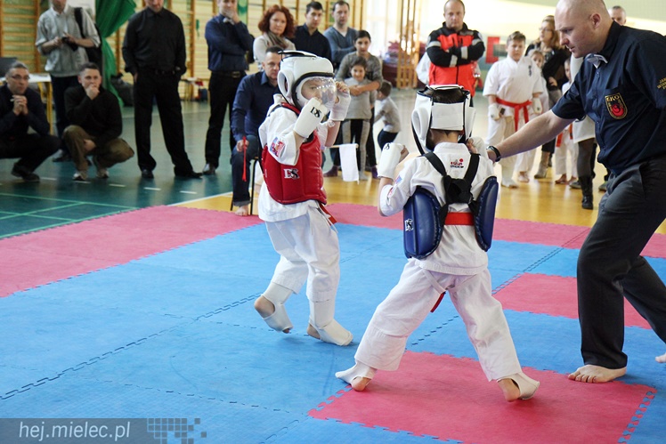 Finał Podkarpackiej Ligi Dzieci i Młodzieży Karate Shinkyokushin