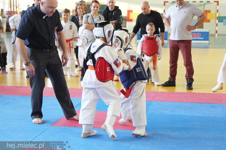 Finał Podkarpackiej Ligi Dzieci i Młodzieży Karate Shinkyokushin