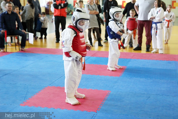 Finał Podkarpackiej Ligi Dzieci i Młodzieży Karate Shinkyokushin