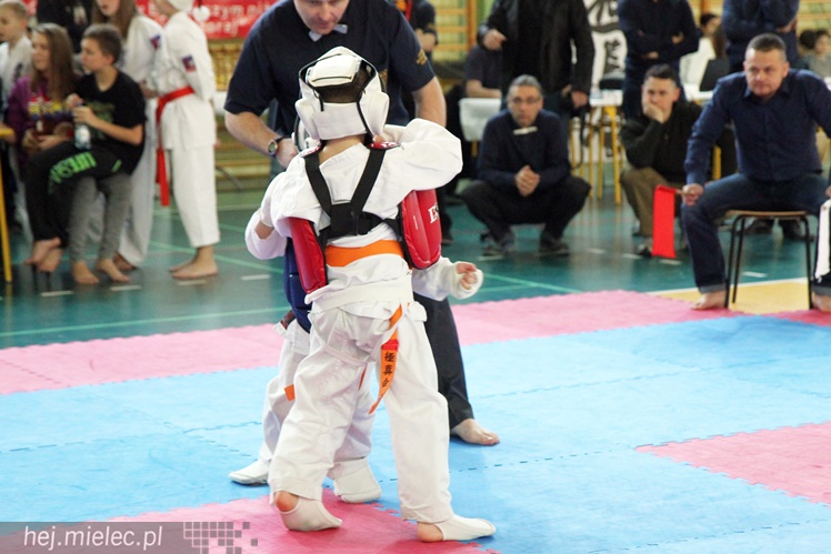 Finał Podkarpackiej Ligi Dzieci i Młodzieży Karate Shinkyokushin