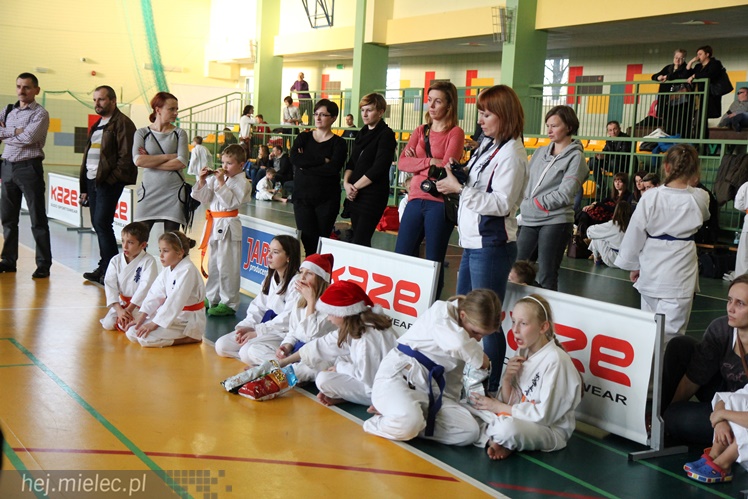 Finał Podkarpackiej Ligi Dzieci i Młodzieży Karate Shinkyokushin
