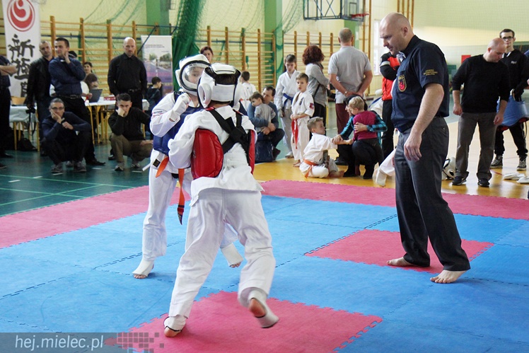 Finał Podkarpackiej Ligi Dzieci i Młodzieży Karate Shinkyokushin