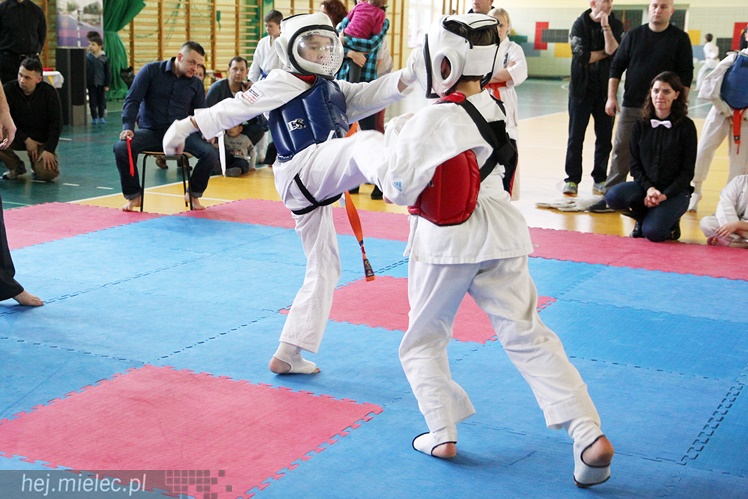 Finał Podkarpackiej Ligi Dzieci i Młodzieży Karate Shinkyokushin