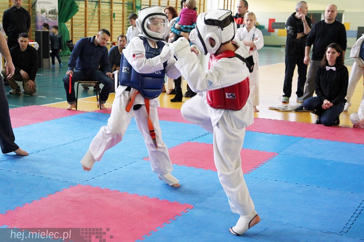 Finał Podkarpackiej Ligi Dzieci i Młodzieży Karate Shinkyokushin