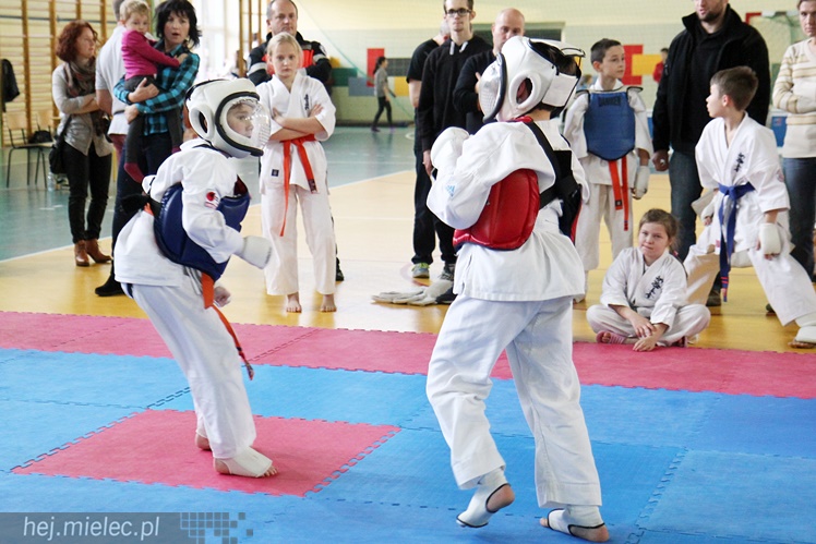 Finał Podkarpackiej Ligi Dzieci i Młodzieży Karate Shinkyokushin