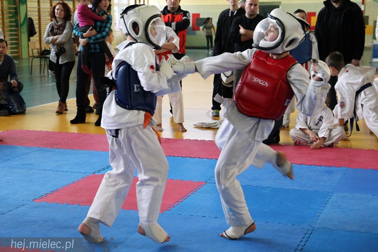Finał Podkarpackiej Ligi Dzieci i Młodzieży Karate Shinkyokushin