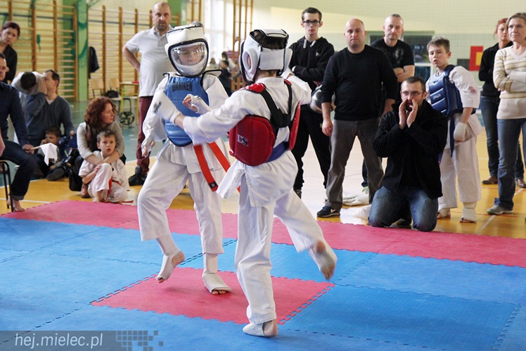 Finał Podkarpackiej Ligi Dzieci i Młodzieży Karate Shinkyokushin