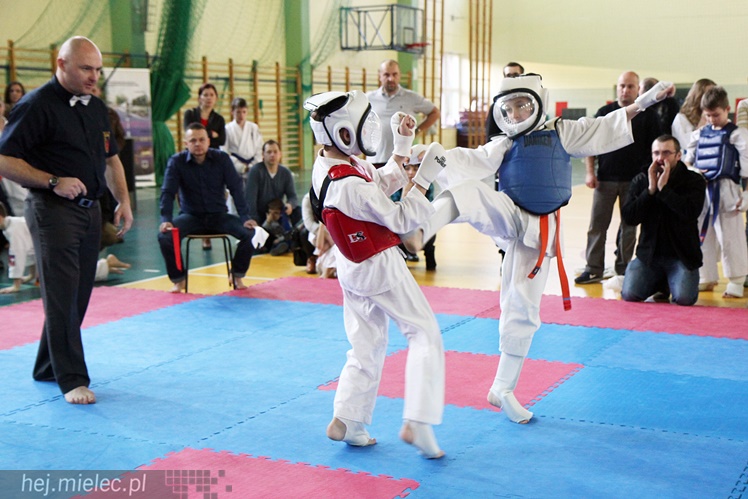Finał Podkarpackiej Ligi Dzieci i Młodzieży Karate Shinkyokushin