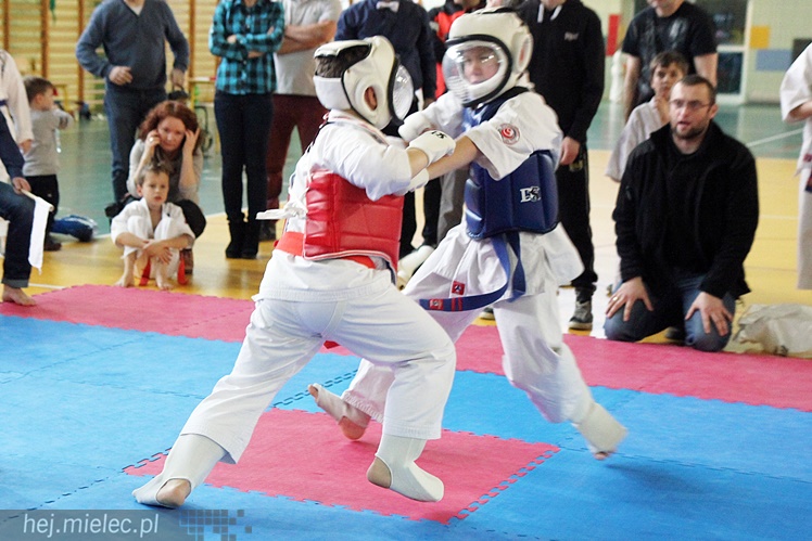 Finał Podkarpackiej Ligi Dzieci i Młodzieży Karate Shinkyokushin