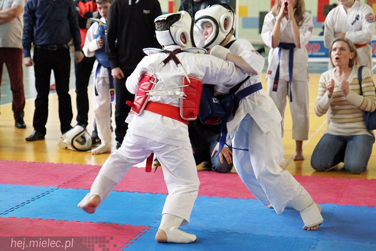 Finał Podkarpackiej Ligi Dzieci i Młodzieży Karate Shinkyokushin