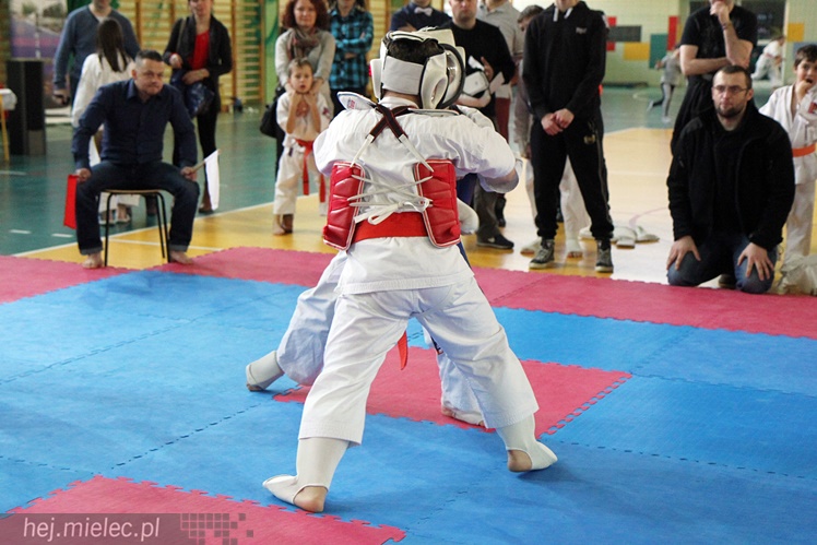 Finał Podkarpackiej Ligi Dzieci i Młodzieży Karate Shinkyokushin