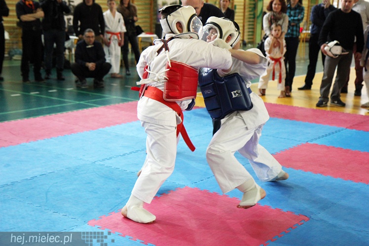 Finał Podkarpackiej Ligi Dzieci i Młodzieży Karate Shinkyokushin