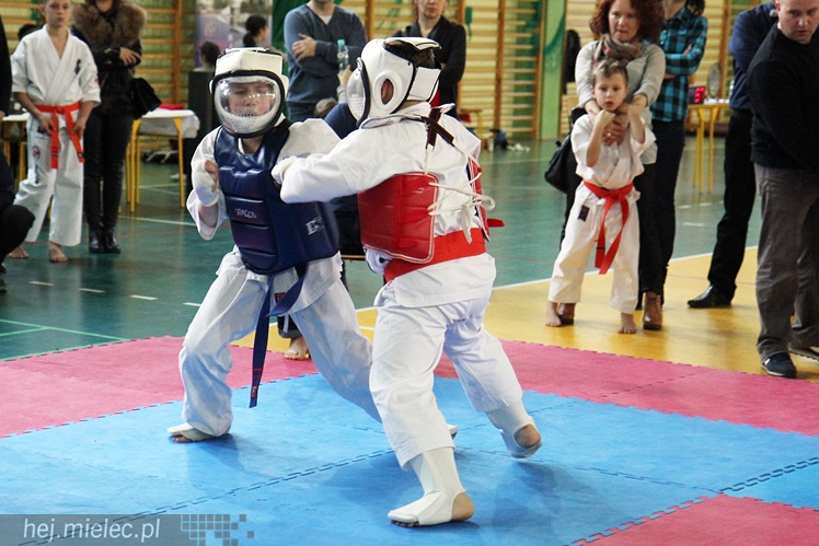 Finał Podkarpackiej Ligi Dzieci i Młodzieży Karate Shinkyokushin